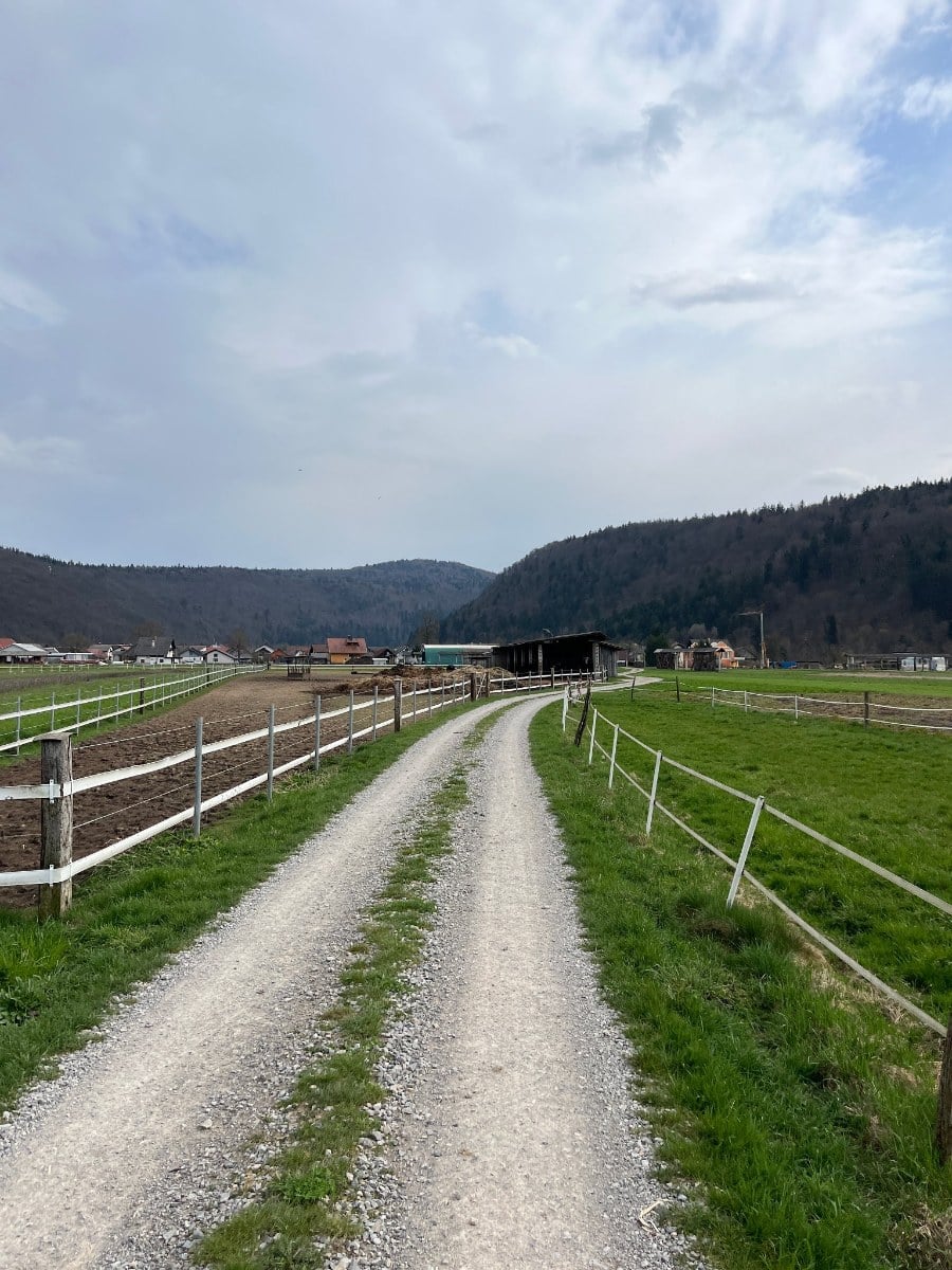 Ljubljana — Gornji Ig scenic gravel loop — photo 2
