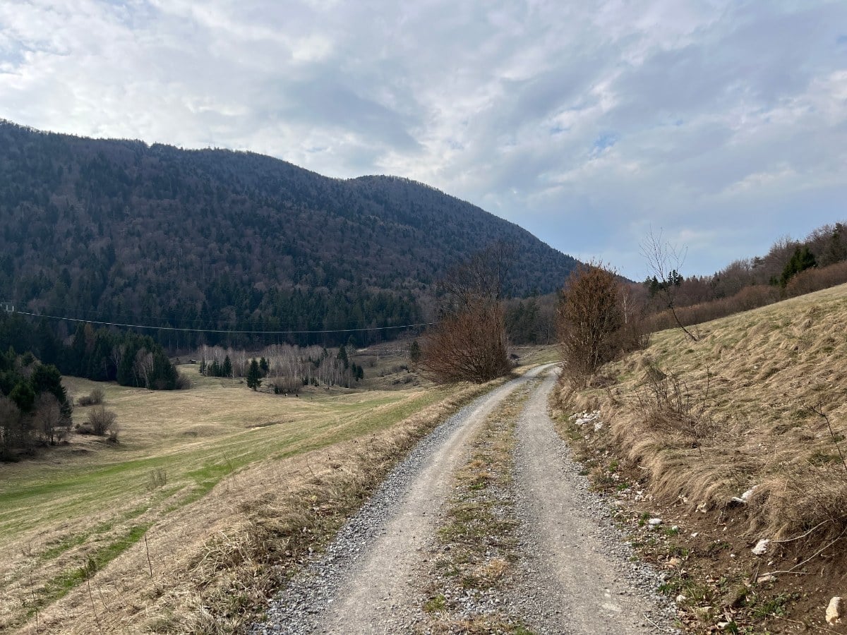 Ljubljana — Gornji Ig scenic gravel loop — photo 1